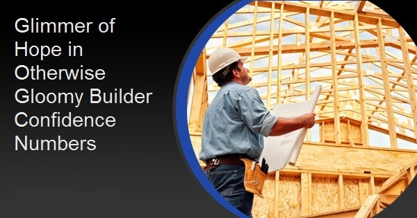 Glimmer of Hope in Otherwise Gloomy Builder Confidence Numbers