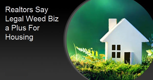 Realtors Say Legal Weed Biz a Plus For Housing